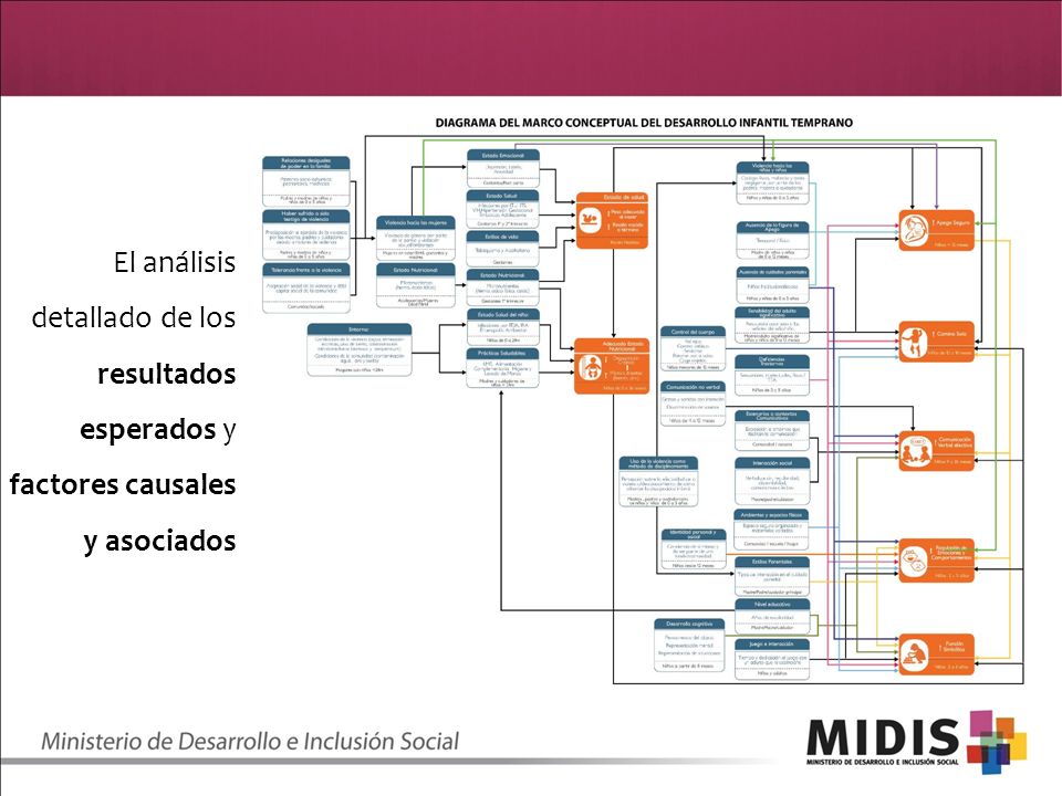 El análisis detallado de los resultados esperados y factores causales y asociados