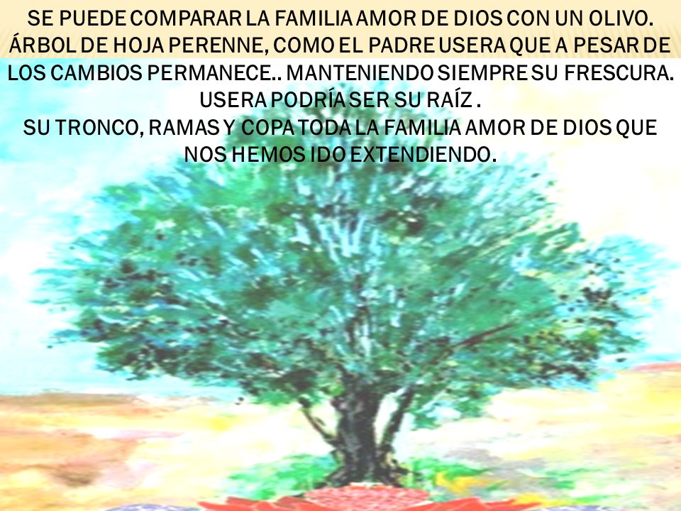 SE PUEDE COMPARAR LA FAMILIA AMOR DE DIOS CON UN OLIVO
