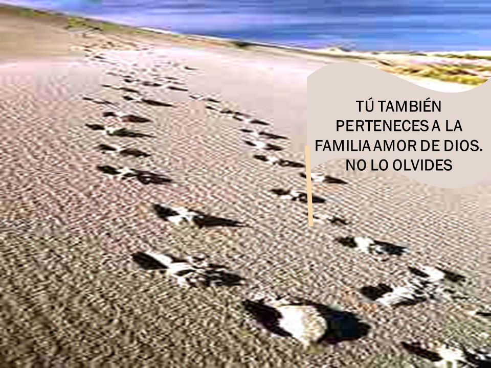 TÚ TAMBIÉN PERTENECES A LA FAMILIA AMOR DE DIOS. NO LO OLVIDES