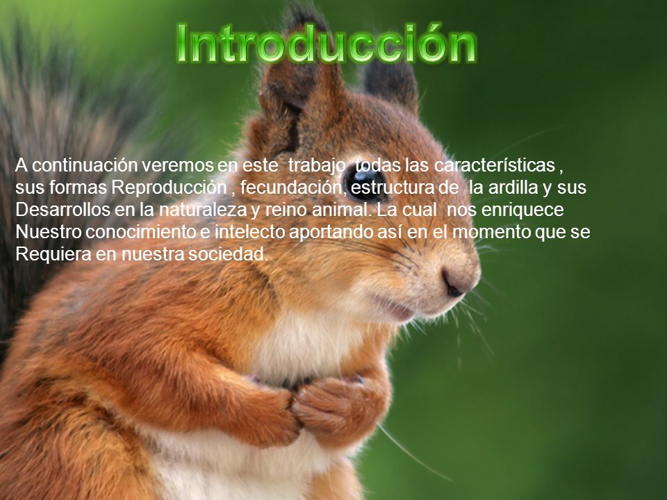 Introducción A continuación veremos en este trabajo todas las características ,