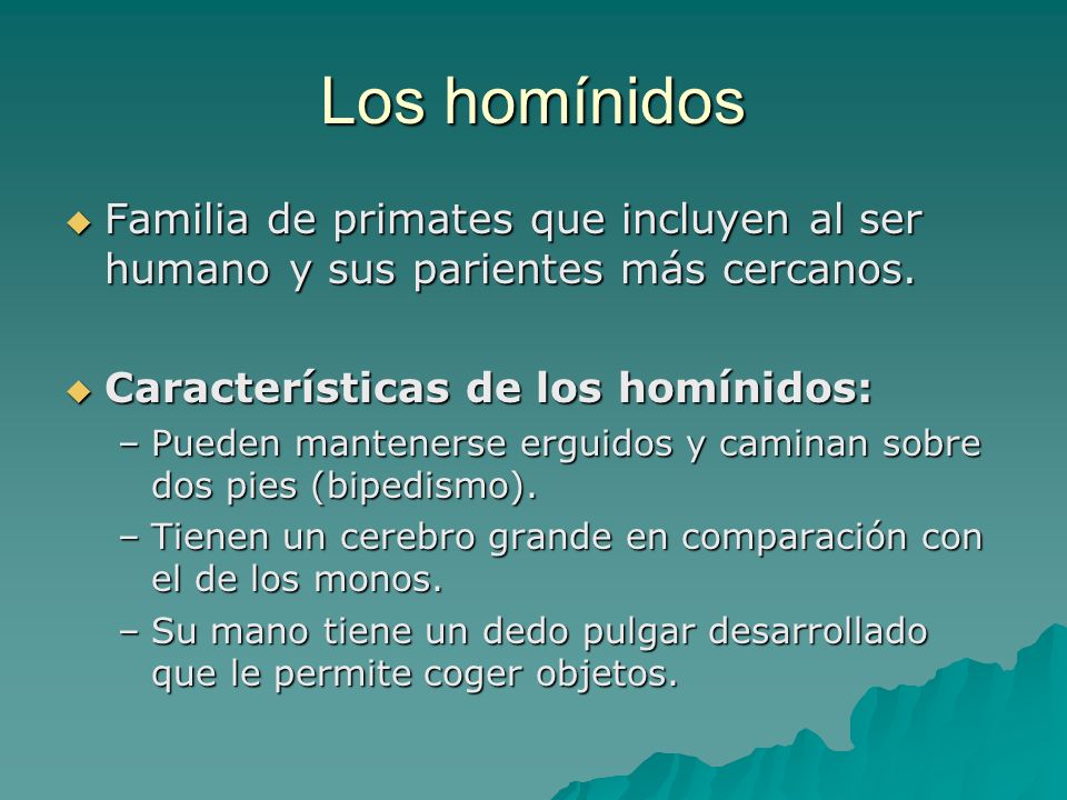 Los homínidos Familia de primates que incluyen al ser humano y sus parientes más cercanos. Características de los homínidos: