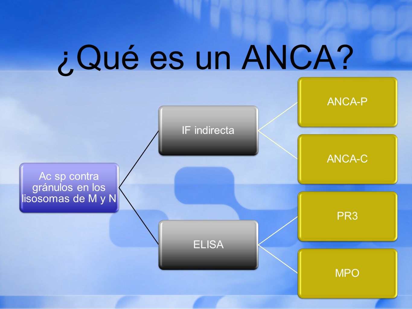 Ac sp contra gránulos en los lisosomas de M y N