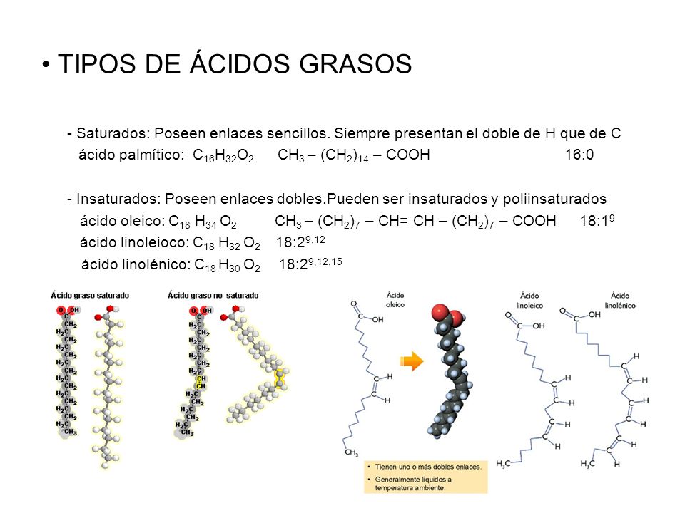 TIPOS DE ÁCIDOS GRASOS - Saturados: Poseen enlaces sencillos. Siempre presentan el doble de H que de C.