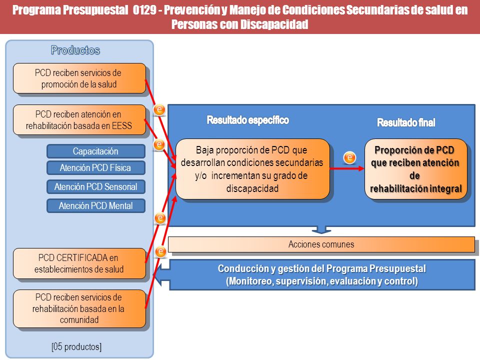Programa Presupuestal Prevención y Manejo de Condiciones Secundarias de salud en Personas con Discapacidad