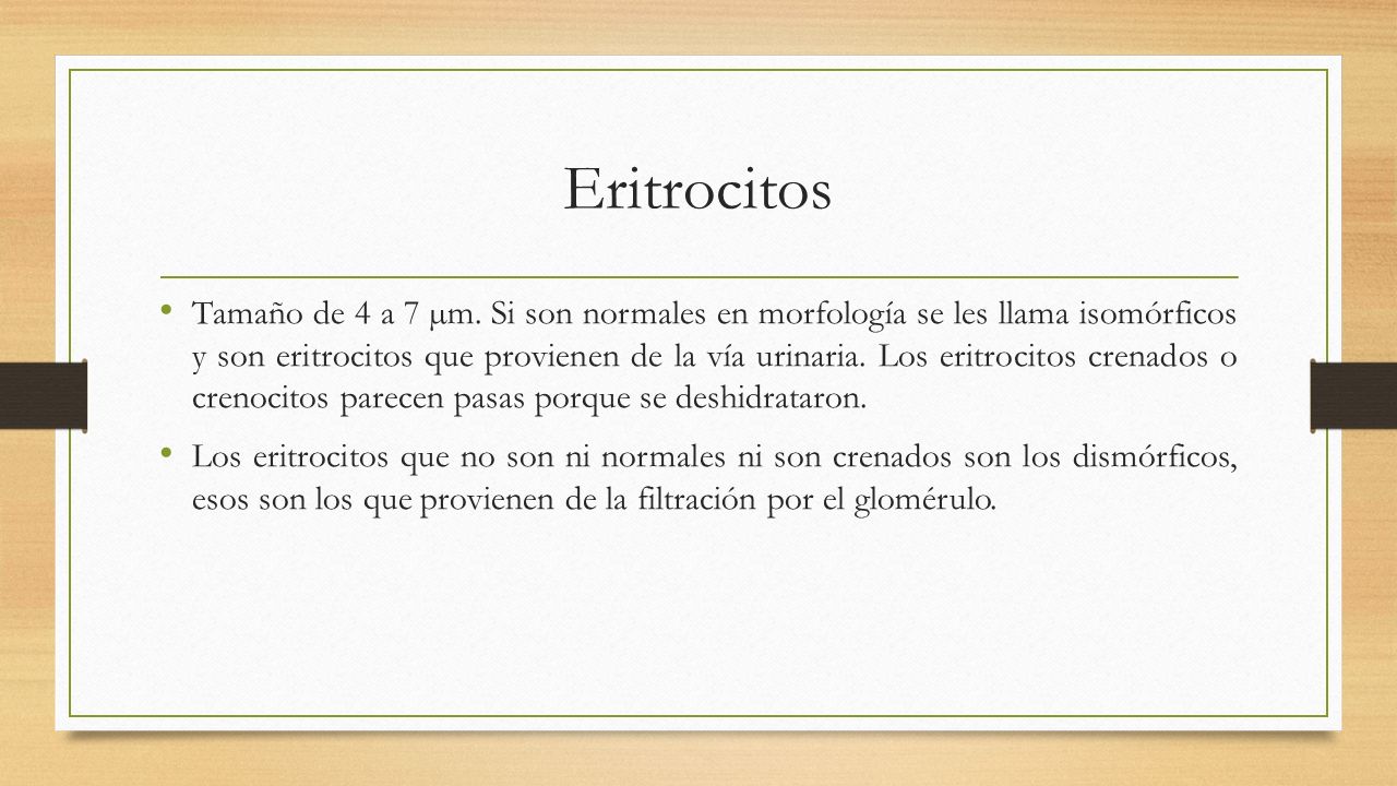 Eritrocitos