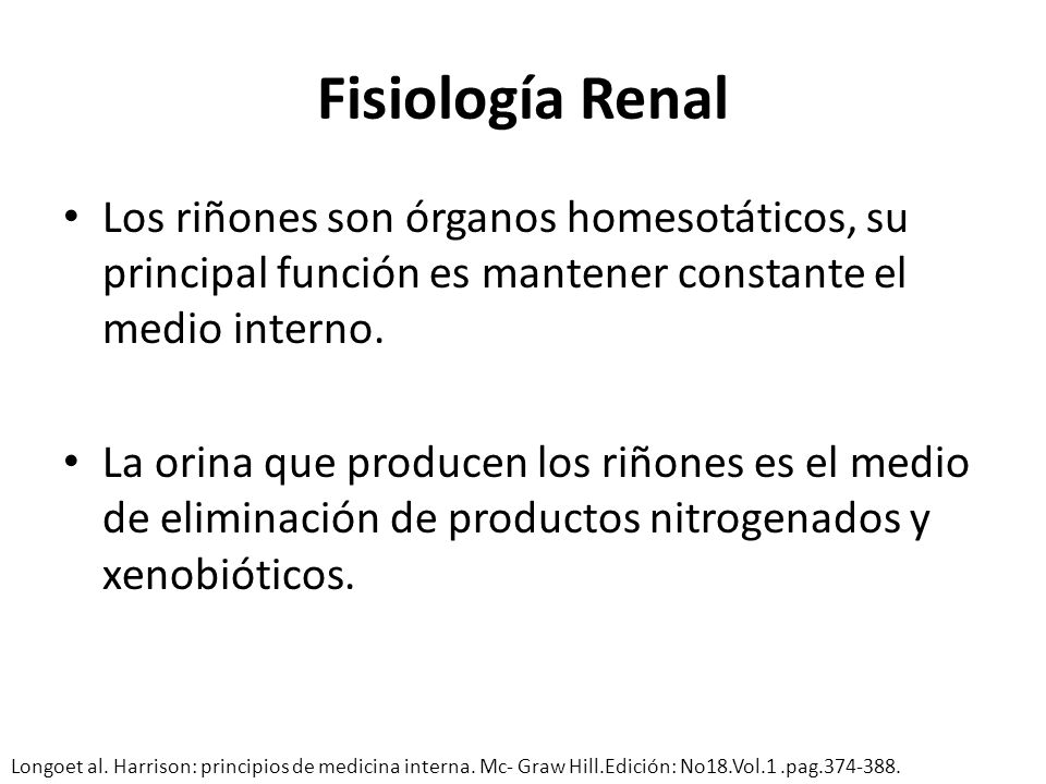 Fisiología Renal Los riñones son órganos homesotáticos, su principal función es mantener constante el medio interno.
