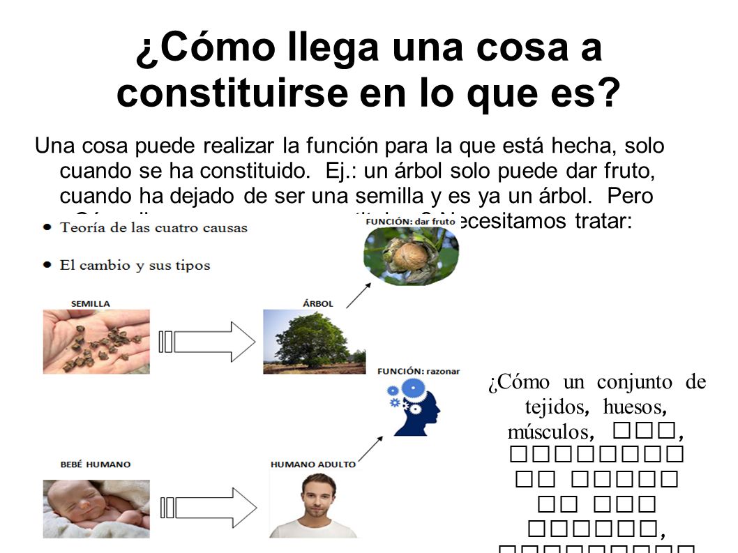 ¿Cómo llega una cosa a constituirse en lo que es