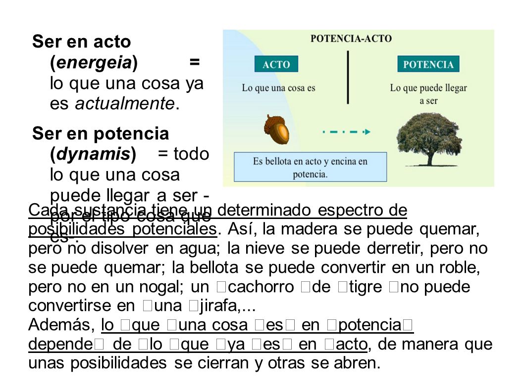Ser en acto (energeia) = lo que una cosa ya es actualmente.
