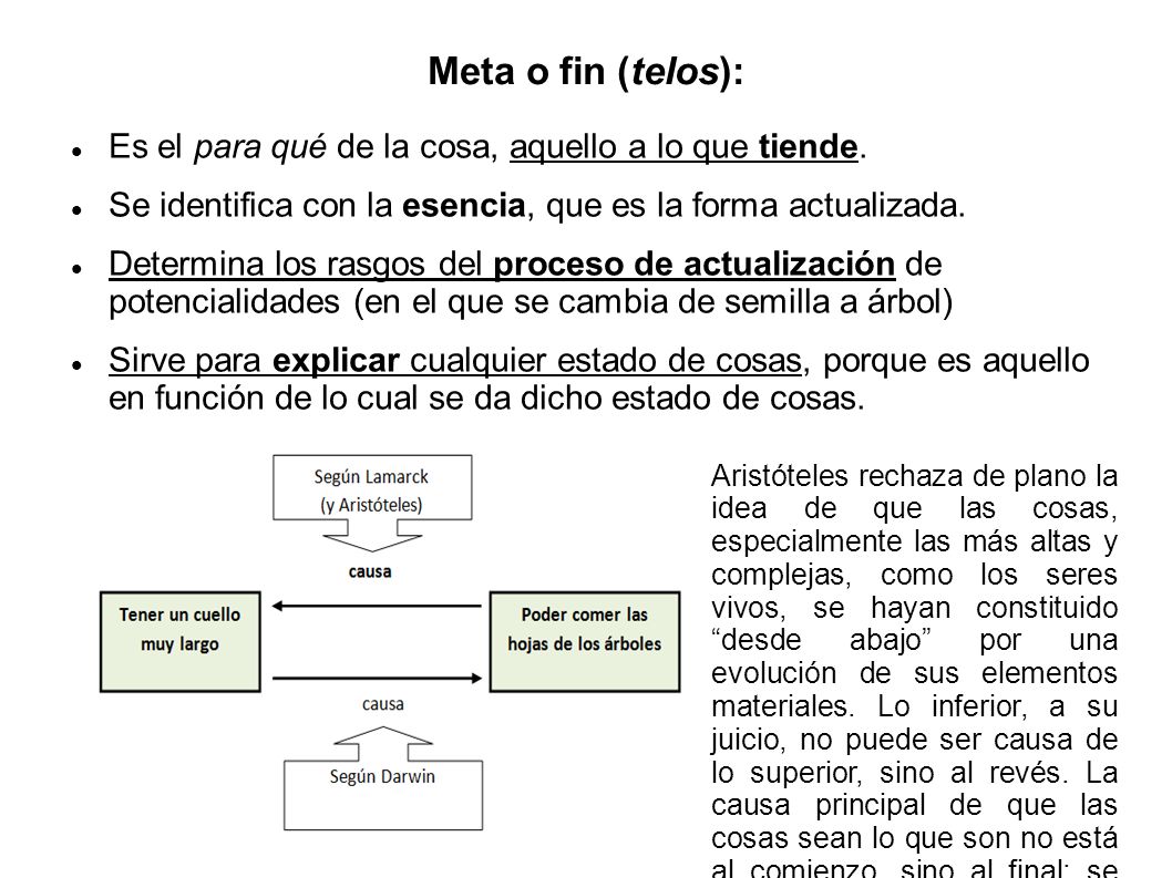Meta o fin (telos): Es el para qué de la cosa, aquello a lo que tiende. Se identifica con la esencia, que es la forma actualizada.