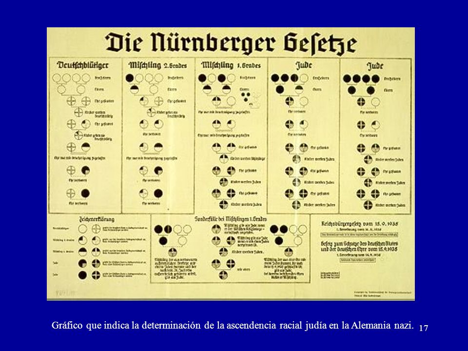 Gráfico que indica la determinación de la ascendencia racial judía en la Alemania nazi.