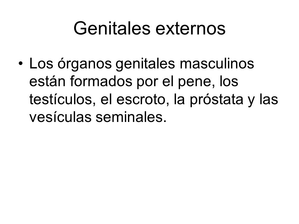Genitales externos Los órganos genitales masculinos están formados por el pene, los testículos, el escroto, la próstata y las vesículas seminales.