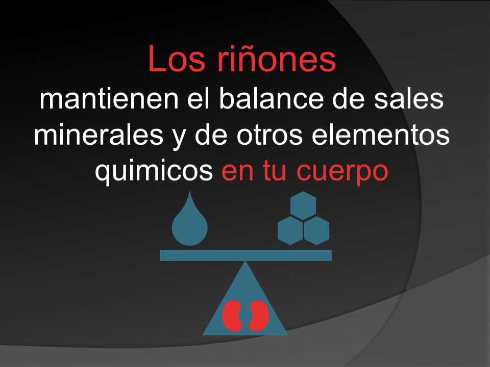 Los riñones mantienen el balance de sales minerales y de otros elementos quimicos en tu cuerpo