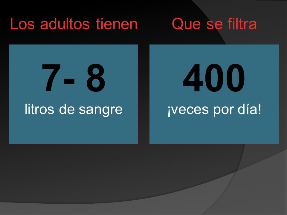 7- 8 litros de sangre 400 ¡veces por día! Los adultos tienen