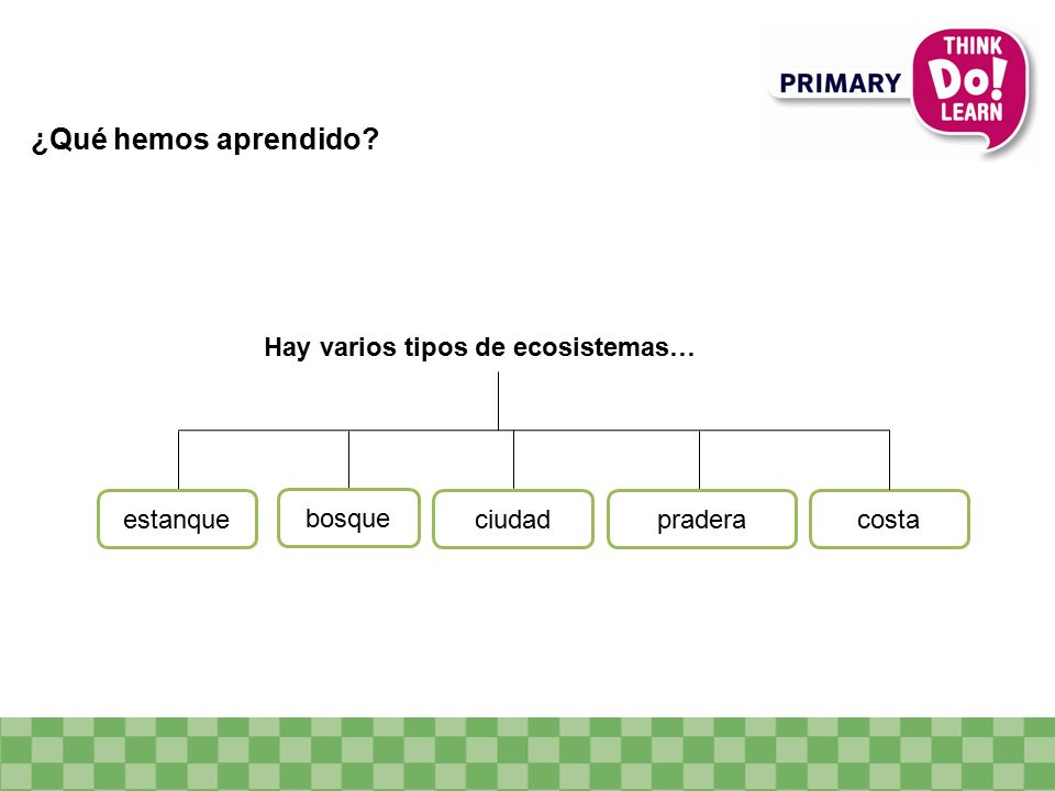 ¿Qué hemos aprendido Hay varios tipos de ecosistemas… estanque bosque