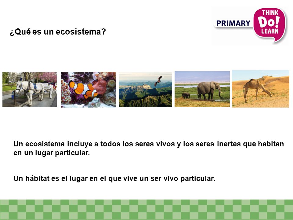 ¿Qué es un ecosistema Un ecosistema incluye a todos los seres vivos y los seres inertes que habitan en un lugar particular.