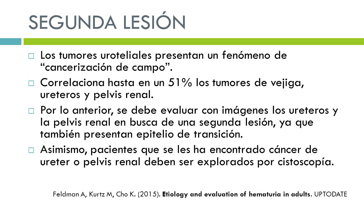 SEGUNDA LESIÓN Los tumores uroteliales presentan un fenómeno de cancerización de campo .