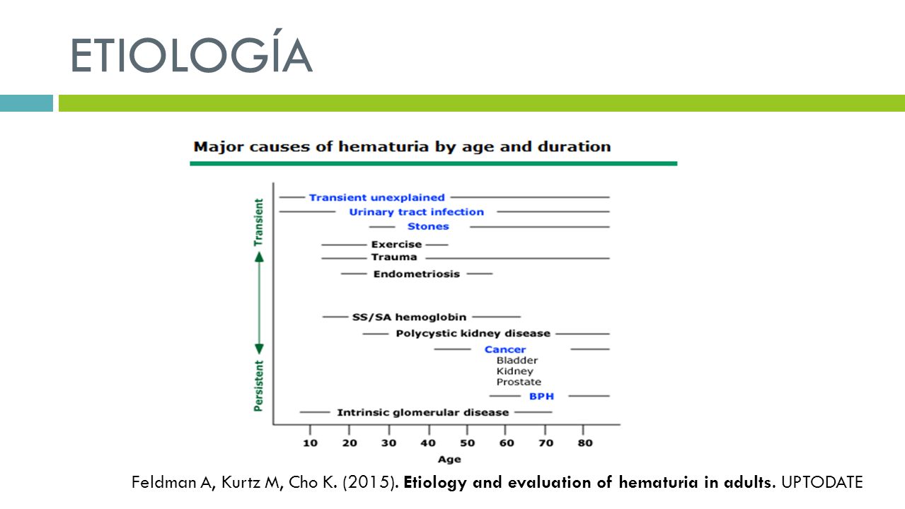 ETIOLOGÍA Feldman A, Kurtz M, Cho K. (2015). Etiology and evaluation of hematuria in adults.