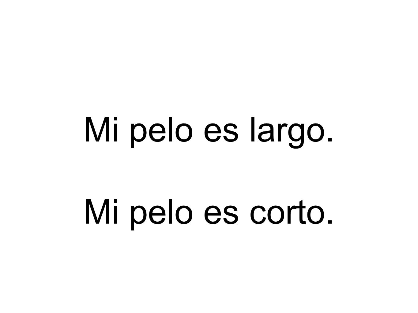 Mi pelo es largo. Mi pelo es corto.
