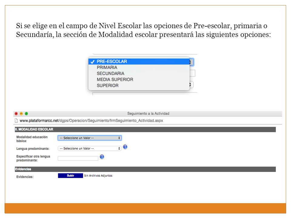 Si se elige en el campo de Nivel Escolar las opciones de Pre-escolar, primaria o