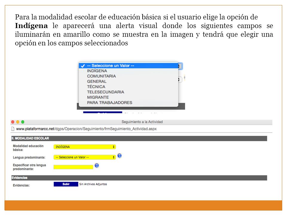 Para la modalidad escolar de educación básica si el usuario elige la opción de