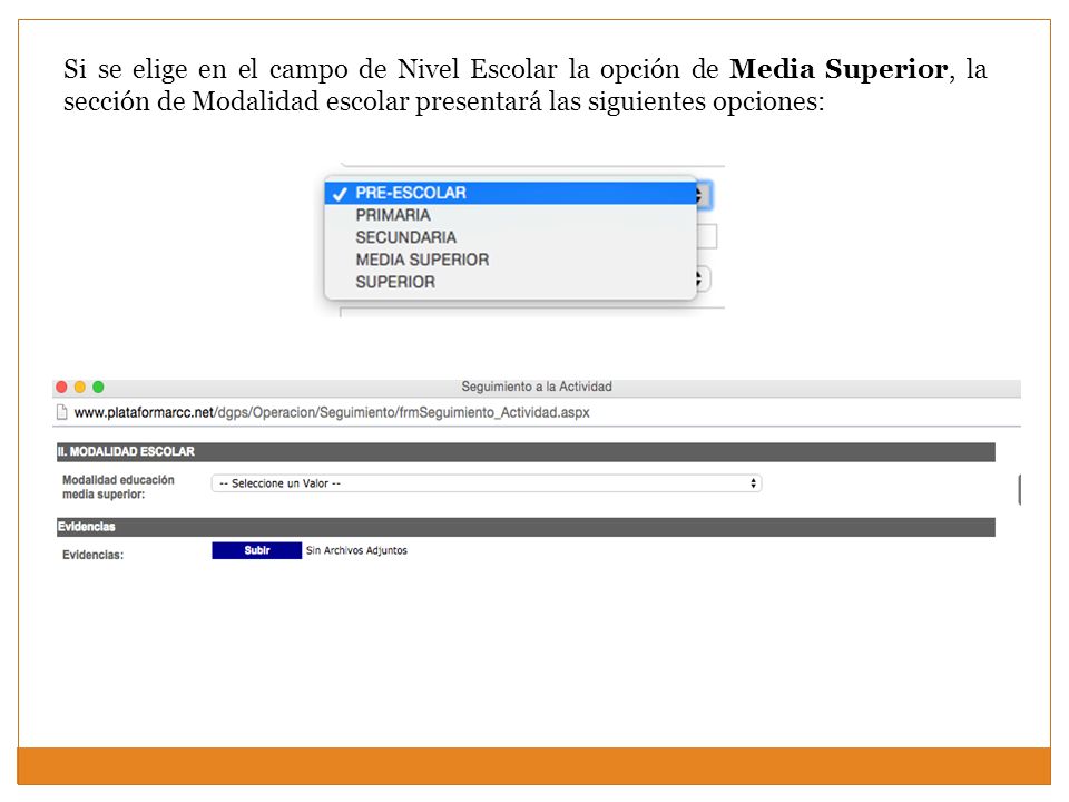 Si se elige en el campo de Nivel Escolar la opción de Media Superior, la sección de Modalidad escolar presentará las siguientes opciones: