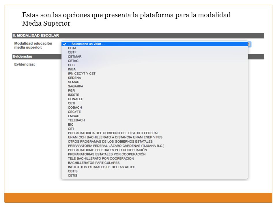 Estas son las opciones que presenta la plataforma para la modalidad