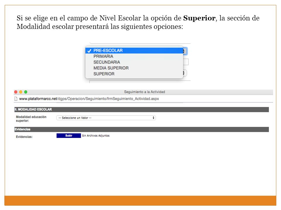 Si se elige en el campo de Nivel Escolar la opción de Superior, la sección de Modalidad escolar presentará las siguientes opciones:
