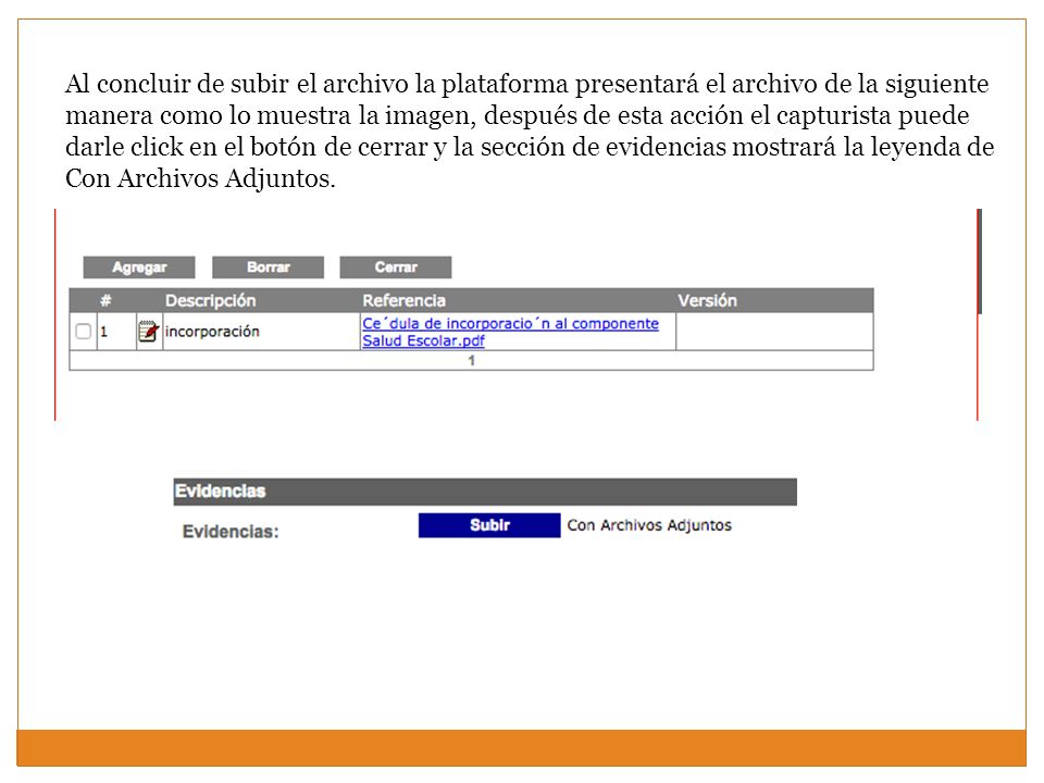 Al concluir de subir el archivo la plataforma presentará el archivo de la siguiente