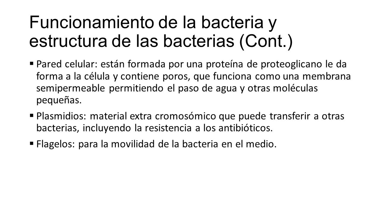Funcionamiento de la bacteria y estructura de las bacterias (Cont.)