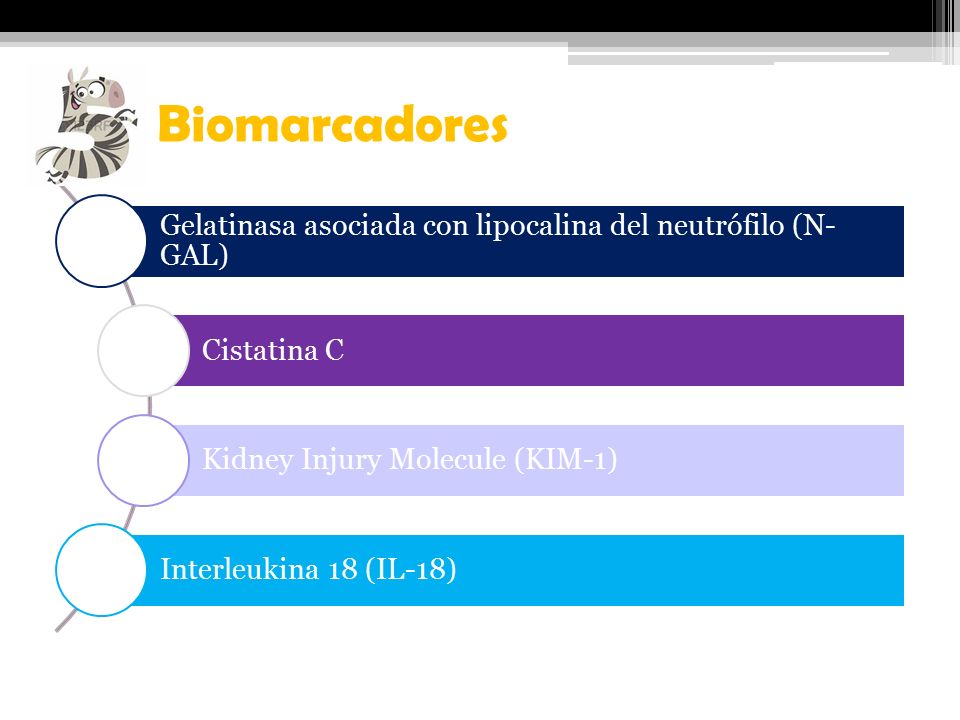 Biomarcadores Gelatinasa asociada con lipocalina del neutrófilo (N-GAL) Cistatina C. Kidney Injury Molecule (KIM-1)