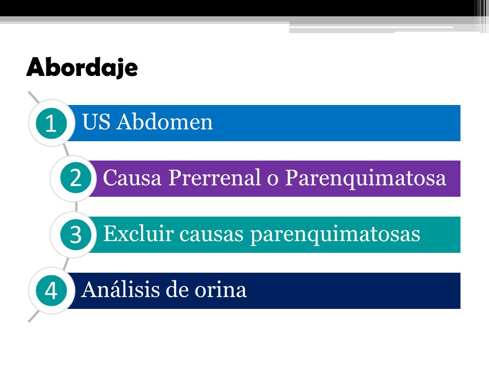 Abordaje ❶ ❷ ❸ ❹ US Abdomen Causa Prerrenal o Parenquimatosa