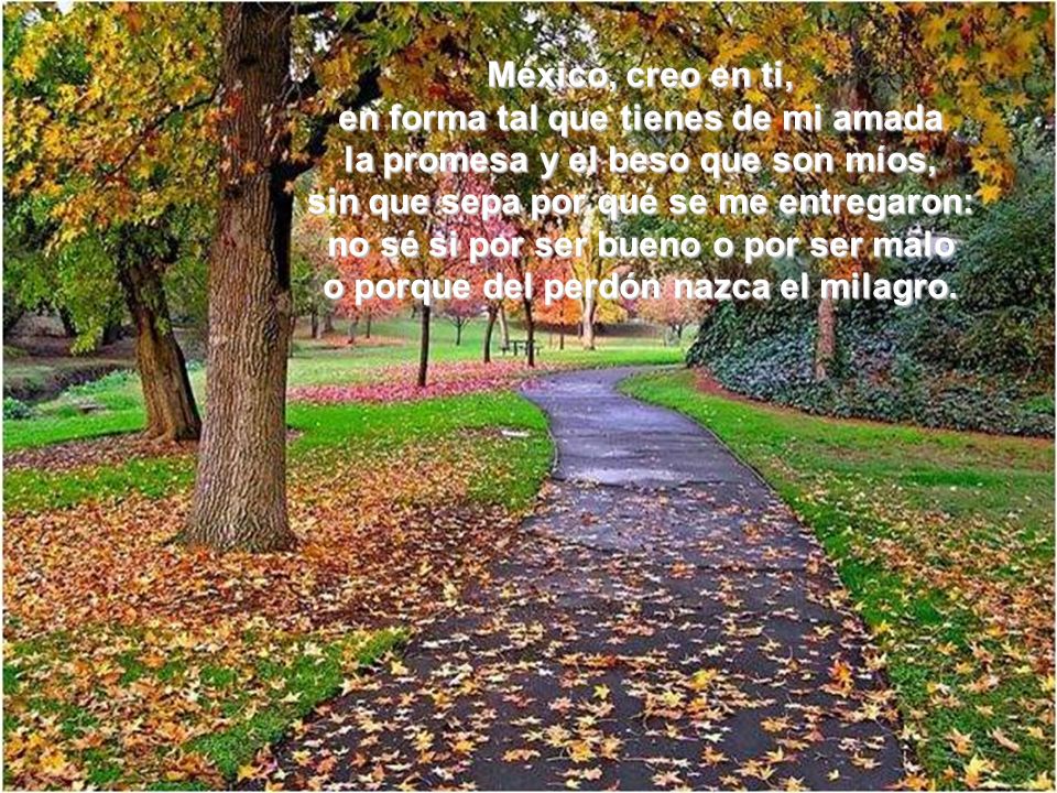 México, creo en ti, en forma tal que tienes de mi amada la promesa y el beso que son míos, sin que sepa por qué se me entregaron: no sé si por ser bueno o por ser malo o porque del perdón nazca el milagro.