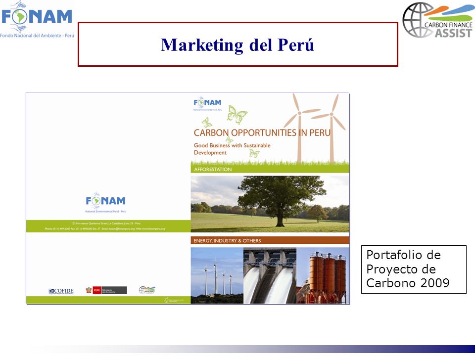 Marketing del Perú Portafolio de Proyecto de Carbono 2009