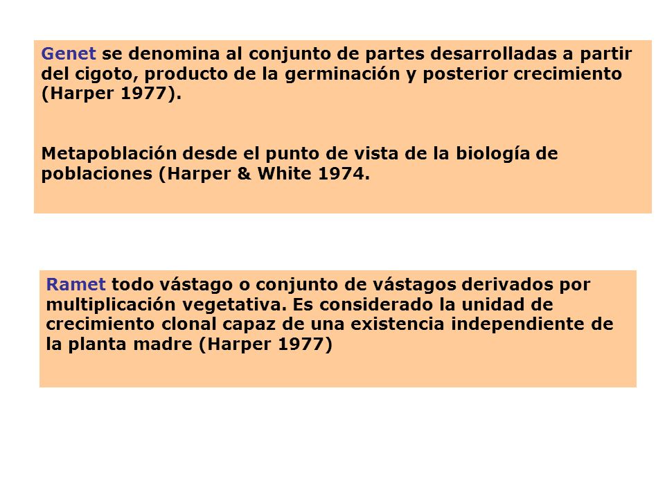 Genet se denomina al conjunto de partes desarrolladas a partir del cigoto, producto de la germinación y posterior crecimiento (Harper 1977).