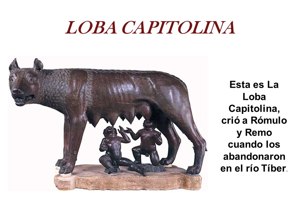 LOBA CAPITOLINA Esta es La Loba Capitolina, crió a Rómulo y Remo cuando los abandonaron en el río Tíber.