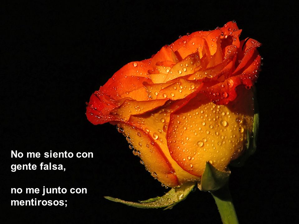 No me siento con gente falsa, no me junto con mentirosos;