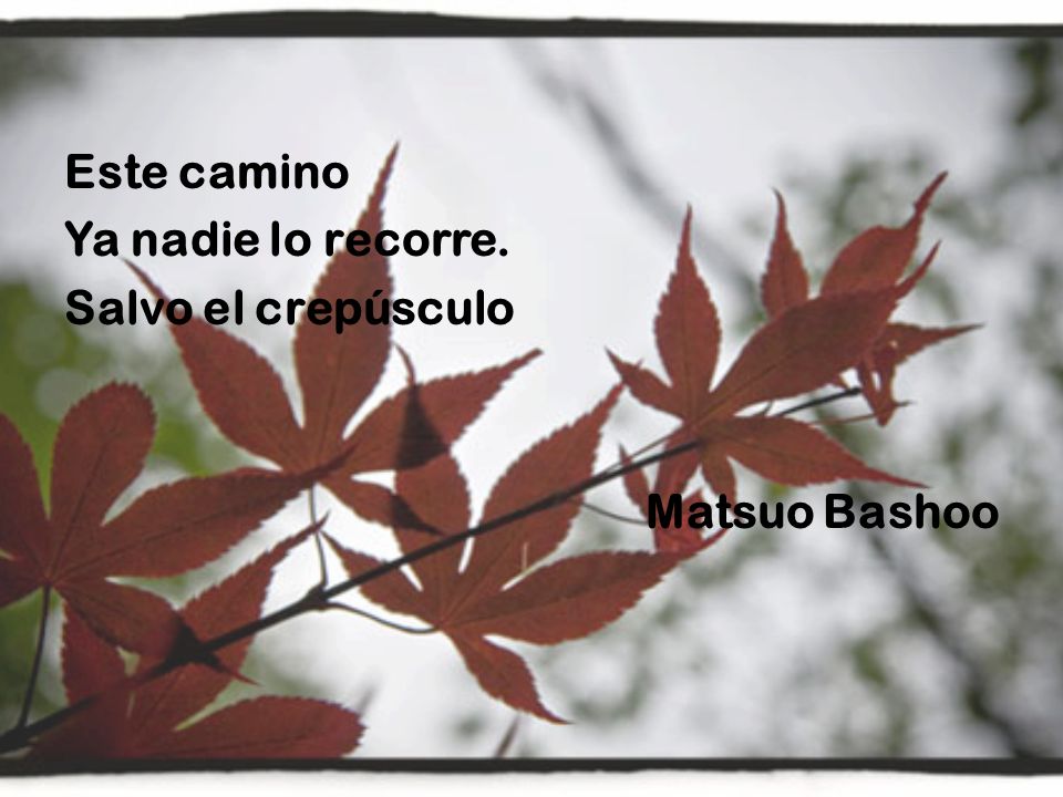 Este camino Ya nadie lo recorre. Salvo el crepúsculo Matsuo Bashoo