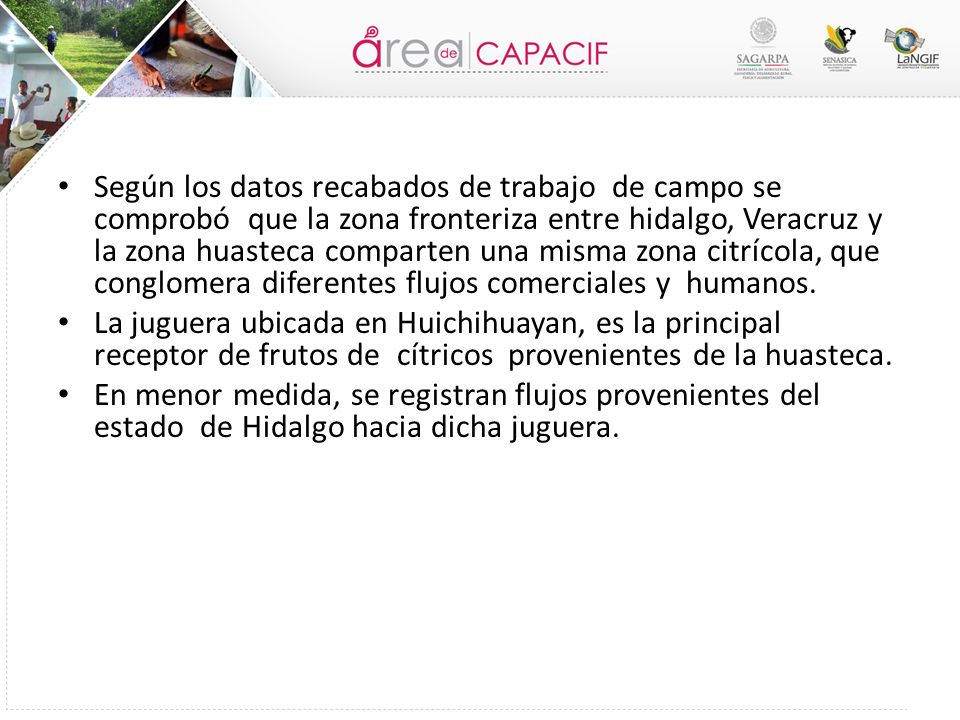 Según los datos recabados de trabajo de campo se comprobó que la zona fronteriza entre hidalgo, Veracruz y la zona huasteca comparten una misma zona citrícola, que conglomera diferentes flujos comerciales y humanos.