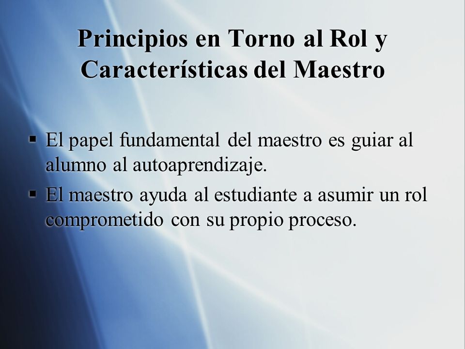 Principios en Torno al Rol y Características del Maestro