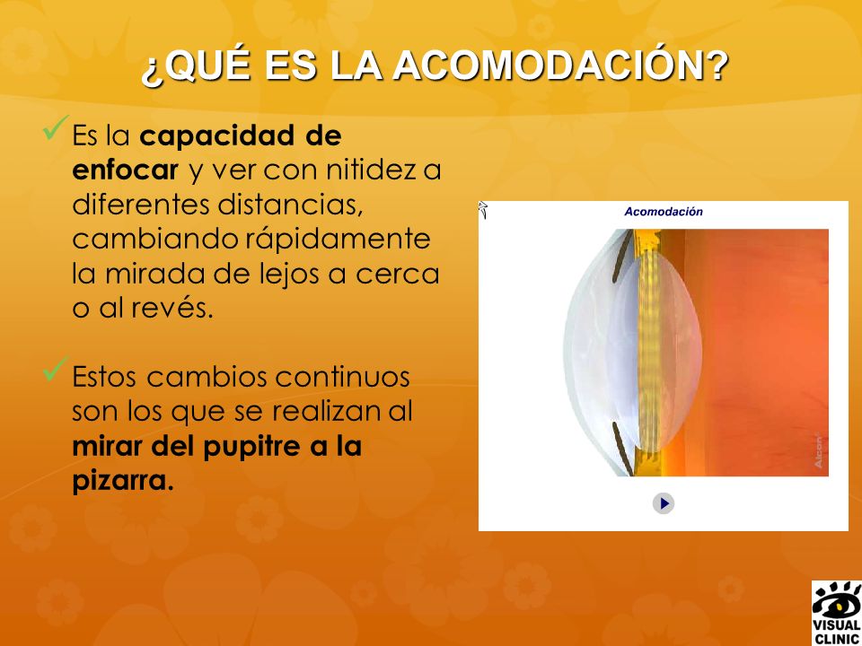 ¿QUÉ ES LA ACOMODACIÓN