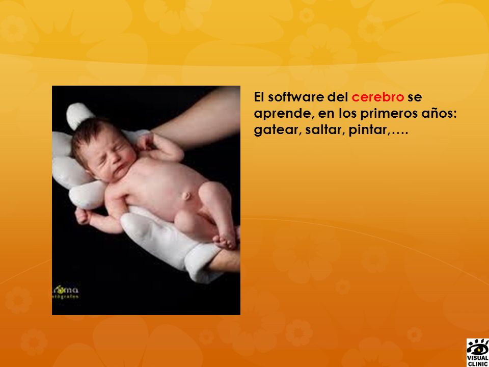 El software del cerebro se aprende, en los primeros años: gatear, saltar, pintar,….