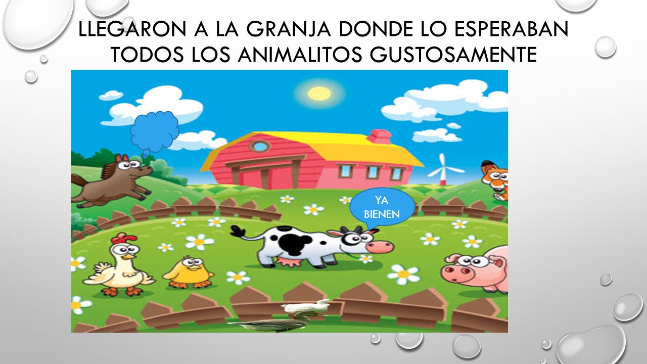 Llegaron a la granja donde lo esperaban todos los animalitos gustosamente