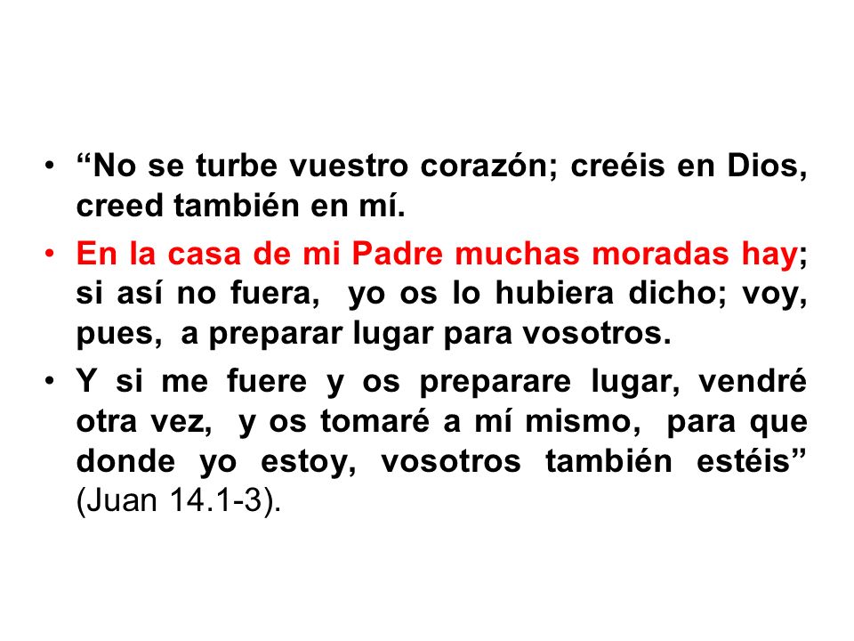 No se turbe vuestro corazón; creéis en Dios, creed también en mí.