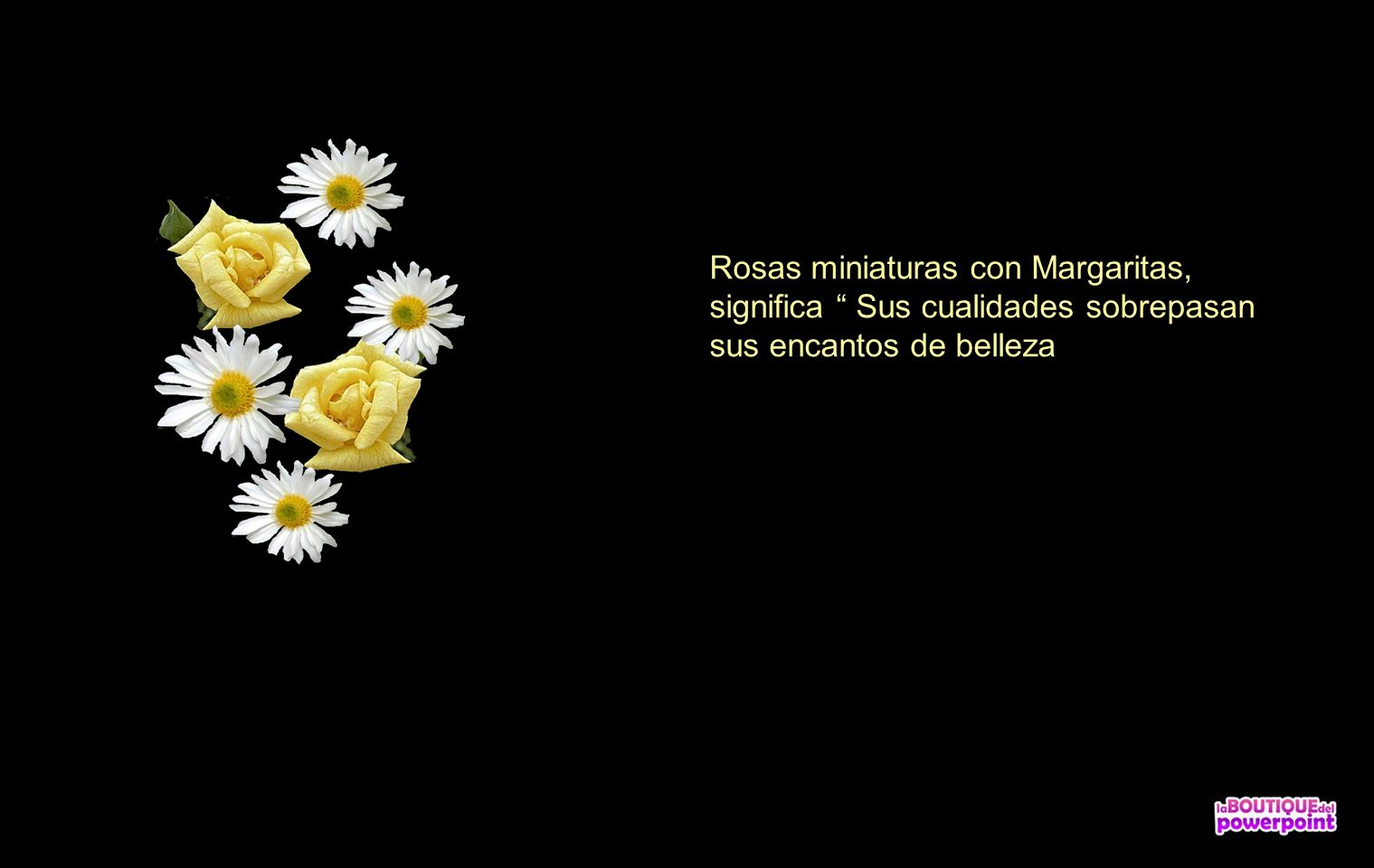Rosas miniaturas con Margaritas, significa Sus cualidades sobrepasan sus encantos de belleza