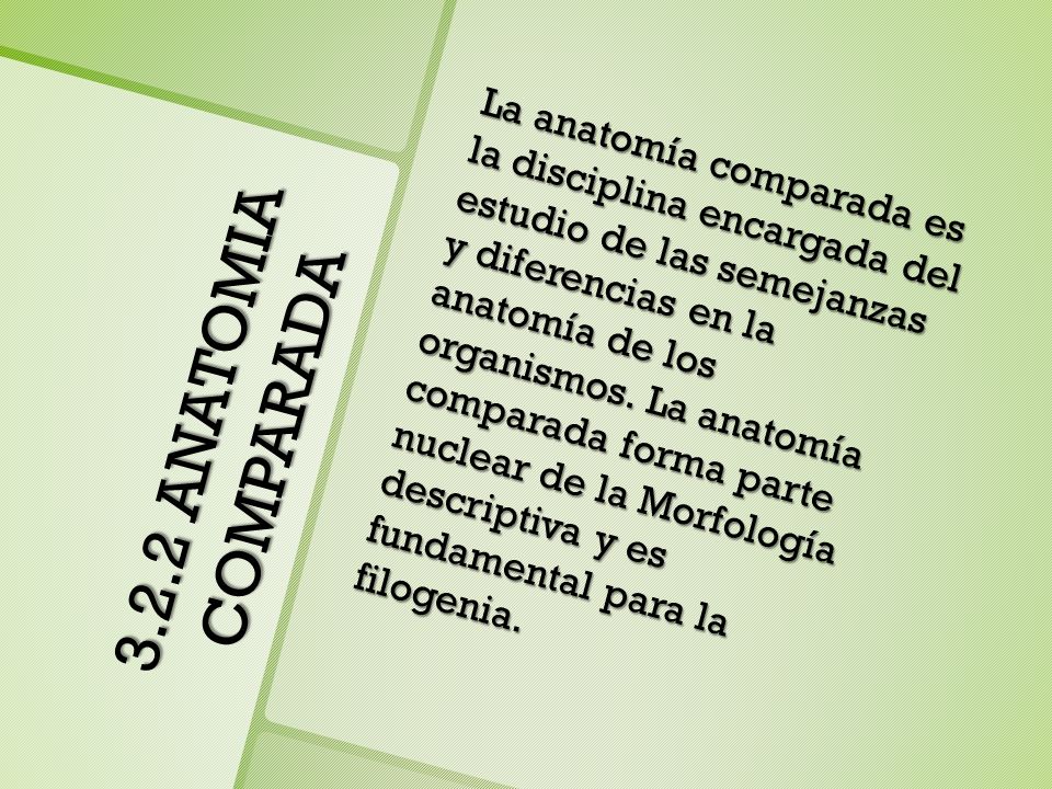 La anatomía comparada es la disciplina encargada del estudio de las semejanzas y diferencias en la anatomía de los organismos. La anatomía comparada forma parte nuclear de la Morfología descriptiva y es fundamental para la filogenia.