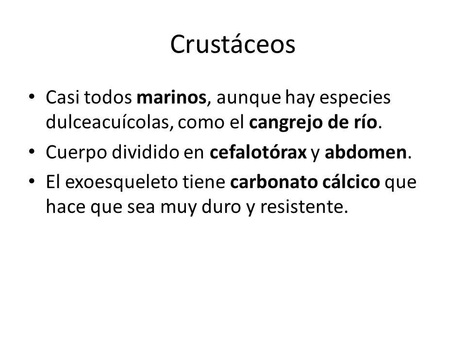 Crustáceos Casi todos marinos, aunque hay especies dulceacuícolas, como el cangrejo de río. Cuerpo dividido en cefalotórax y abdomen.