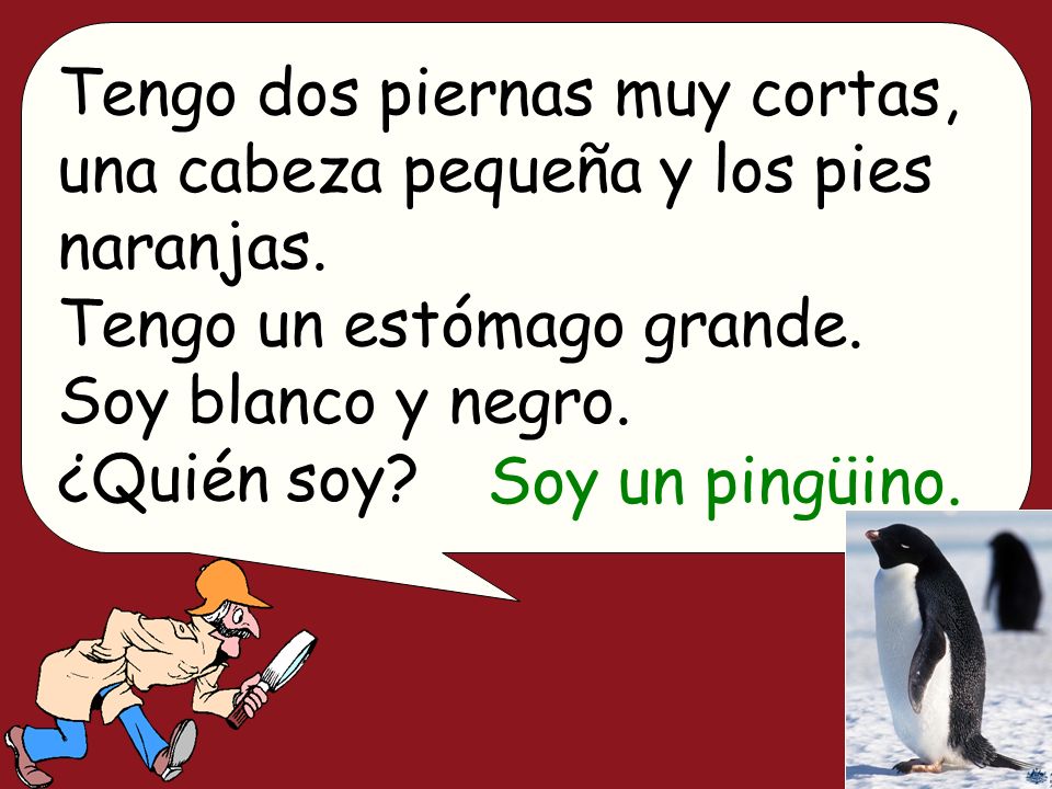 Tengo dos piernas muy cortas, una cabeza pequeña y los pies naranjas