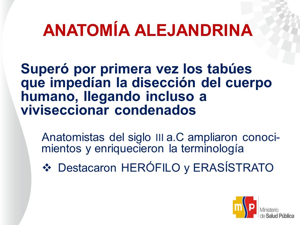ANATOMÍA ALEJANDRINA Superó por primera vez los tabúes que impedían la disección del cuerpo humano, llegando incluso a viviseccionar condenados.