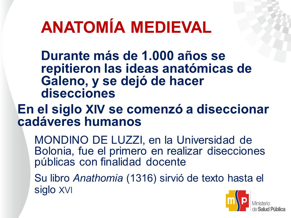 ANATOMÍA MEDIEVAL Durante más de años se repitieron las ideas anatómicas de Galeno, y se dejó de hacer disecciones.