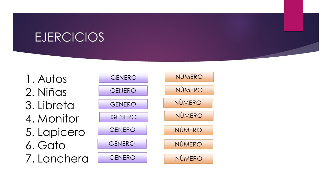 EJERCICIOS 1. Autos 2. Niñas 3. Libreta 4. Monitor 5. Lapicero 6. Gato 7. Lonchera. GENERO.